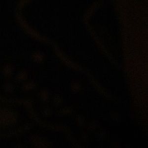 Meet your Posher, Jjayda